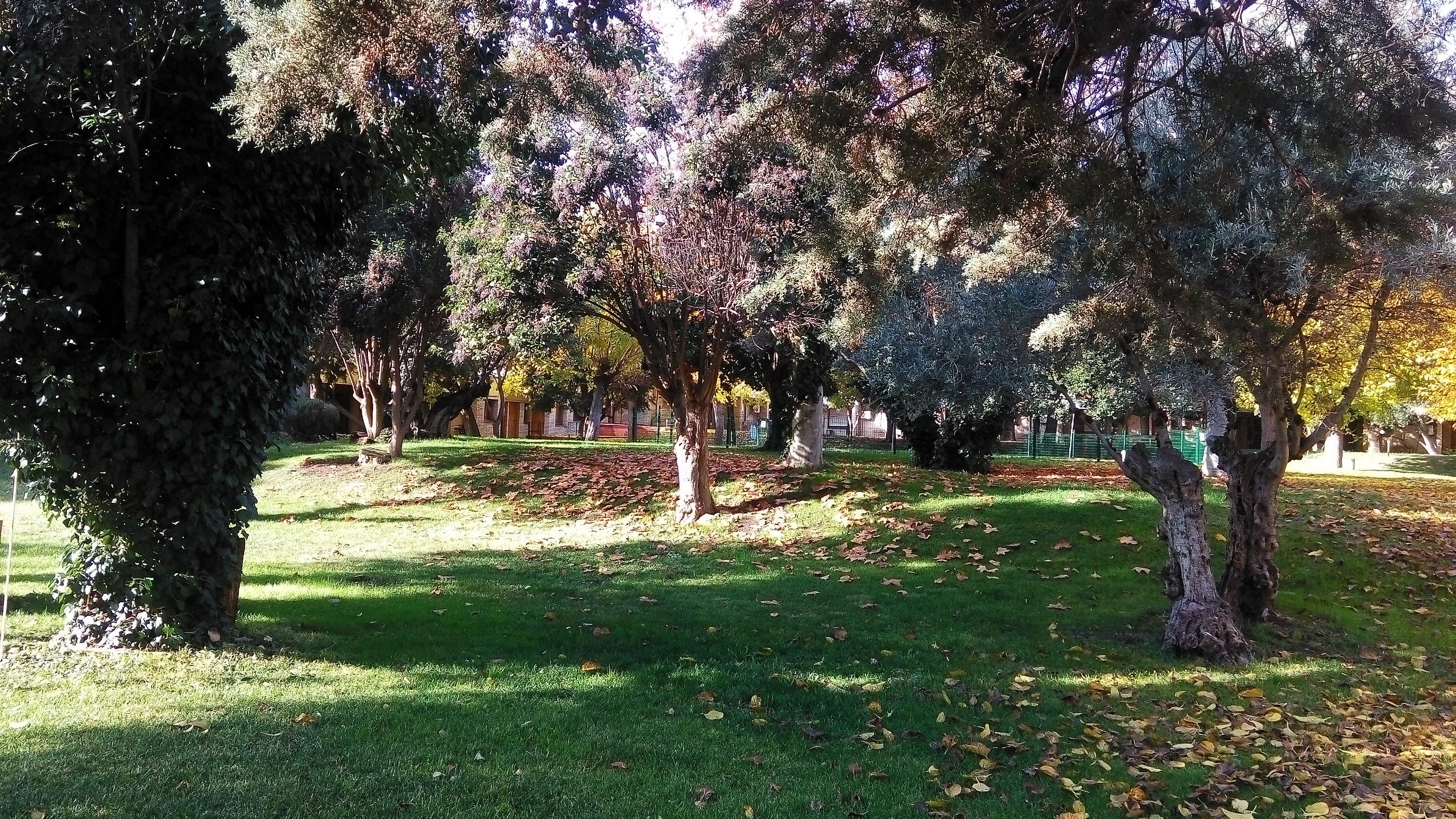 Hotel Los Olivos Getafe Buitenkant foto