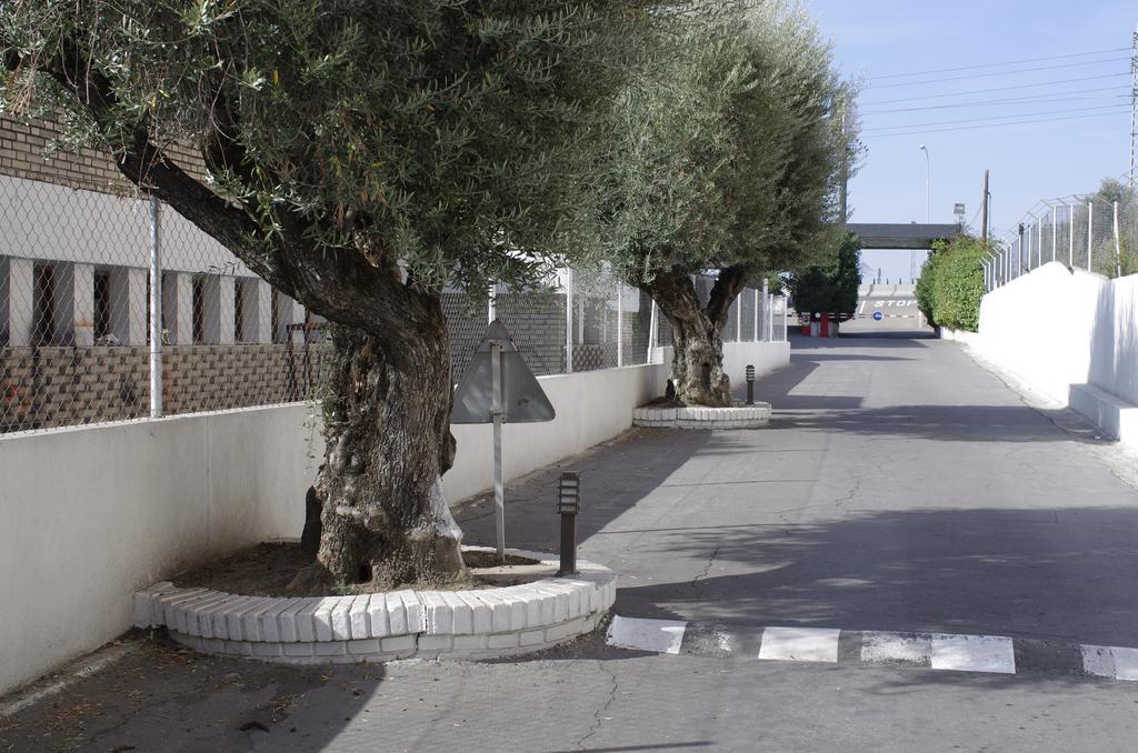 Hotel Los Olivos Getafe Buitenkant foto