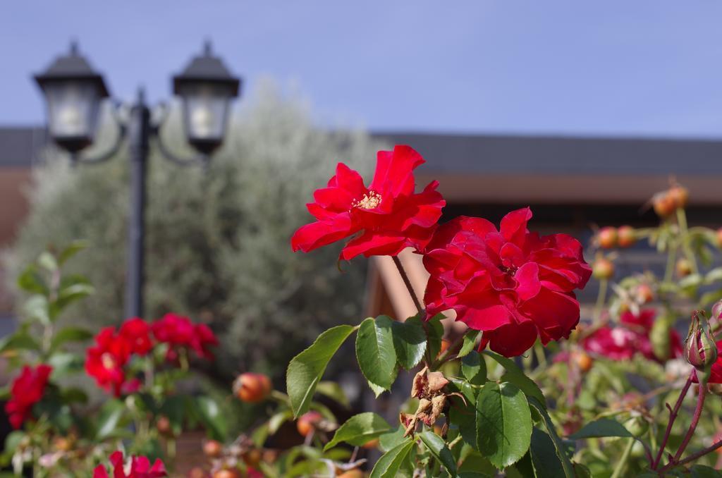 Hotel Los Olivos Getafe Buitenkant foto